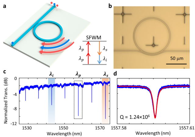 AlGaAs-on-insulator quantum photonics