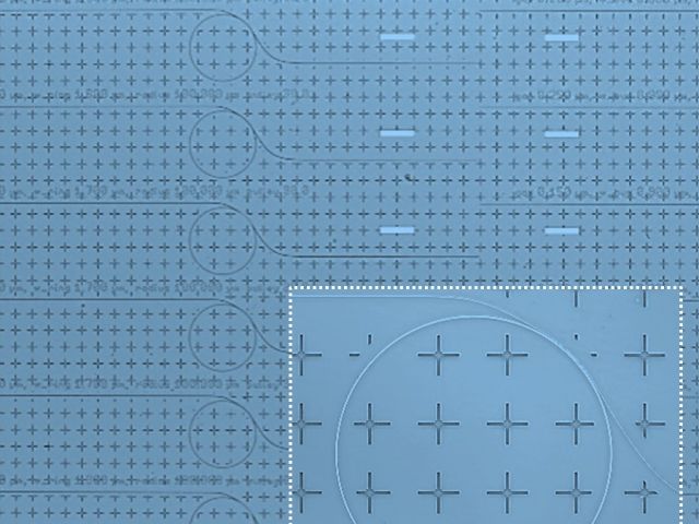 NSF Funding for 2DM QPICs