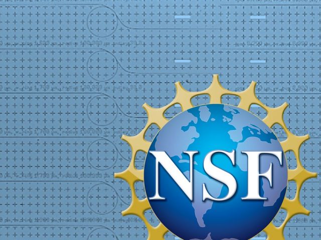 NSF CAREER Award