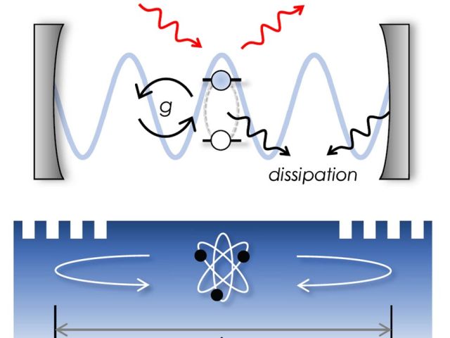 SAW-Atom Quantum Control